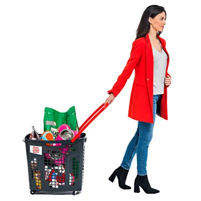 Panier sur roulettes - Paniers magasin-3