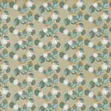 Papier cadeau kraft brun/vert/blanc Eucalyptus 70 cm x 50 m 60g/m² - French Days