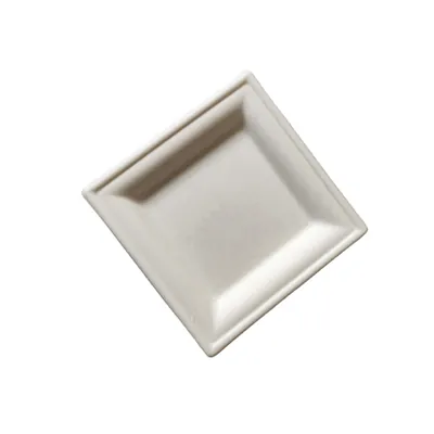 Assiette jetable carrée en fibre végétale biodégradable 15,5 x 15,5 x 1,47 cm - Blanc - Lot de 50 - Vaisselle biodégradable et compostable