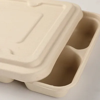 Couvercle pour plateau repas 28 x 21 x 2,5 cm fibre végétale  - Lot de 25 - Plateaux repas-2