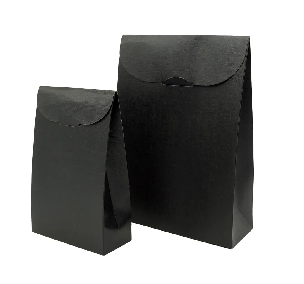 Pochette cadeau noire carton finition luxe 17 x 7 x 23,5 cm - Paquet de 10 - Pochettes cadeaux luxe-4