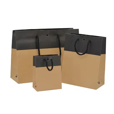 Sacs chic bicolore - Brun / Noir - 18 + 10 x H 22,7 cm - par 10 - Sacs kraft luxe-2