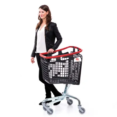 Chariot Shop & Roll Loop - Chariots magasin, caddies magasin-4