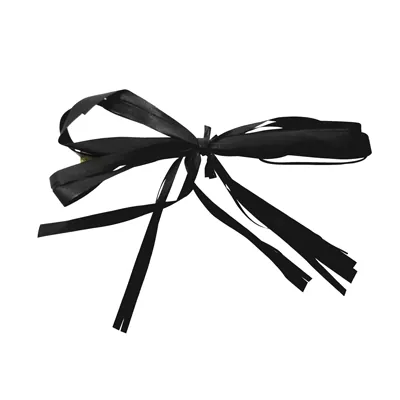 Noeud raphia Noir 80 mm attache twist - Paquet de 100 - Raphias