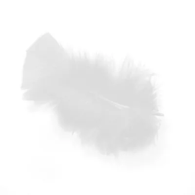 Plume blanche artificielle L 10 cm - Plumes décoratives - Sachet de 30g - Plumes