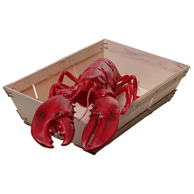 Corbeille paniers garnis bois 35 × 26 × 9 cm – paquet de 15 - Barquettes bois, Cagettes bois -3