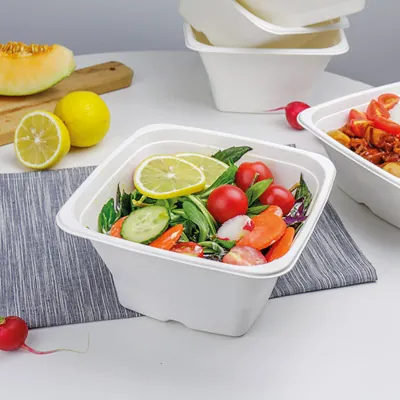 Bol salade 950 ml fibre végétale 17,5 x 17,5 x 7 cm - Bol salade biodégradable - Lot de 50 - Boîtes salade, Bols salade-2