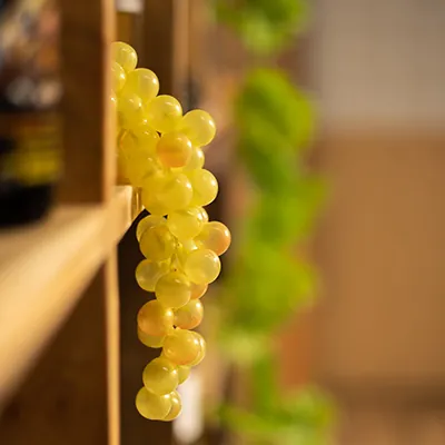 Grappes de raisin blanc artificiel - Aliments factices-3