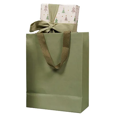 Sacs cadeaux kraft - vert tilleul - 25 + 13 x H 33 cm - Sacs kraft luxe-2