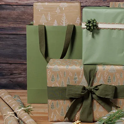 Sacs cadeaux kraft - vert tilleul - 25 + 13 x H 33 cm - Sacs kraft luxe-3