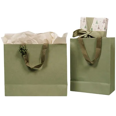 Sacs cadeaux kraft - vert tilleul - 25 + 13 x H 33 cm - Sacs kraft luxe-4