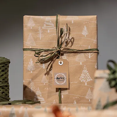 Papier Cadeau Isidore - Papiers cadeaux kraft à motifs-2