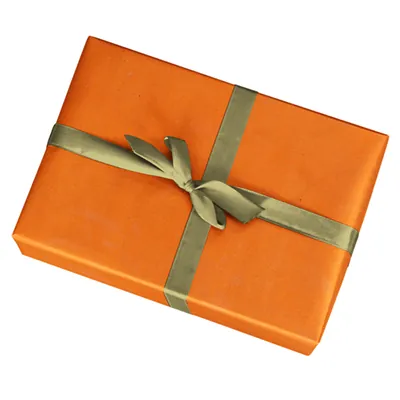 Papier cadeau kraft lisse terracotta uni 70 cm x 50 m 65g/m² – le rouleau - Papiers cadeaux unis-2