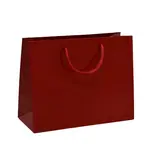 Sac pelliculé rouge framboise poignées cordelette 22,9 x 9,8 x 17,8 cm 157g – Paquet de 20 - Sacs cadeaux Saint-Valentin, Pochettes cadeaux Saint-Valentin
