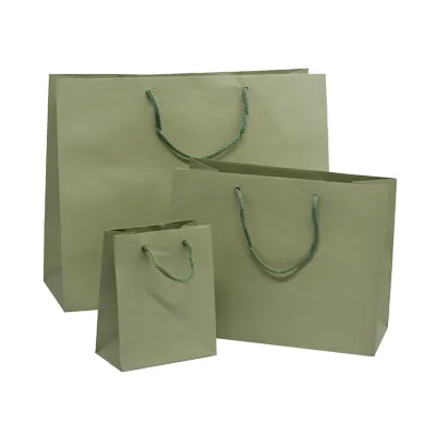 Sacs pelliculés à l'italienne vert tilleul mat - Petit Modèle - Sacs pelliculés poignées cordelette-3