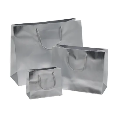 Sacs pelliculés argent mat - 23 + 10 x H 18 cm - Sacs pelliculés poignées cordelette-2