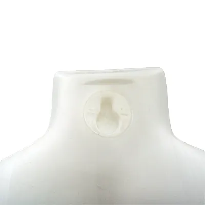 Buste homme plastique H 60 cm - Torse homme - Blanc - Bustiers et fessiers-4
