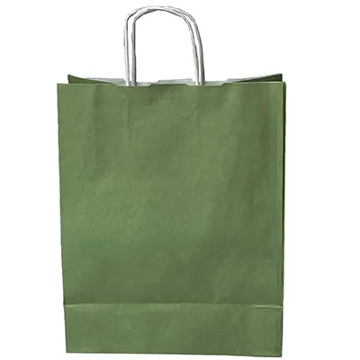 Sacs kraft vert tilleul à poignées torsadées 19+8x23,5cm 90g/m² (x50) - Sacs kraft couleur poignées torsadées-2