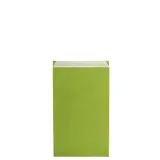 Pochette cadeau kraft vergé vert anis 12 x 4,5 x 21 cm - Sachet kraft - Lot de 250 - Pochettes cadeaux fête des pères