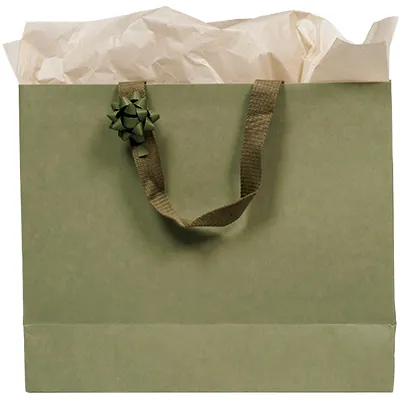 Sacs cadeaux kraft - vert tilleul - 36 + 13 x H 30 cm - Sacs kraft luxe-2