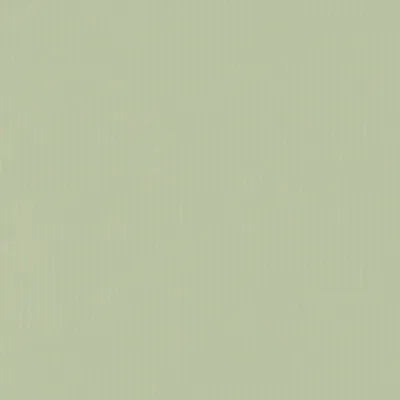 Papier cadeau kraft vergé vert tilleul uni 70 cm x 100 m 60 g/m² – le rouleau - Papiers cadeaux kraft, Papiers cadeaux unis-2