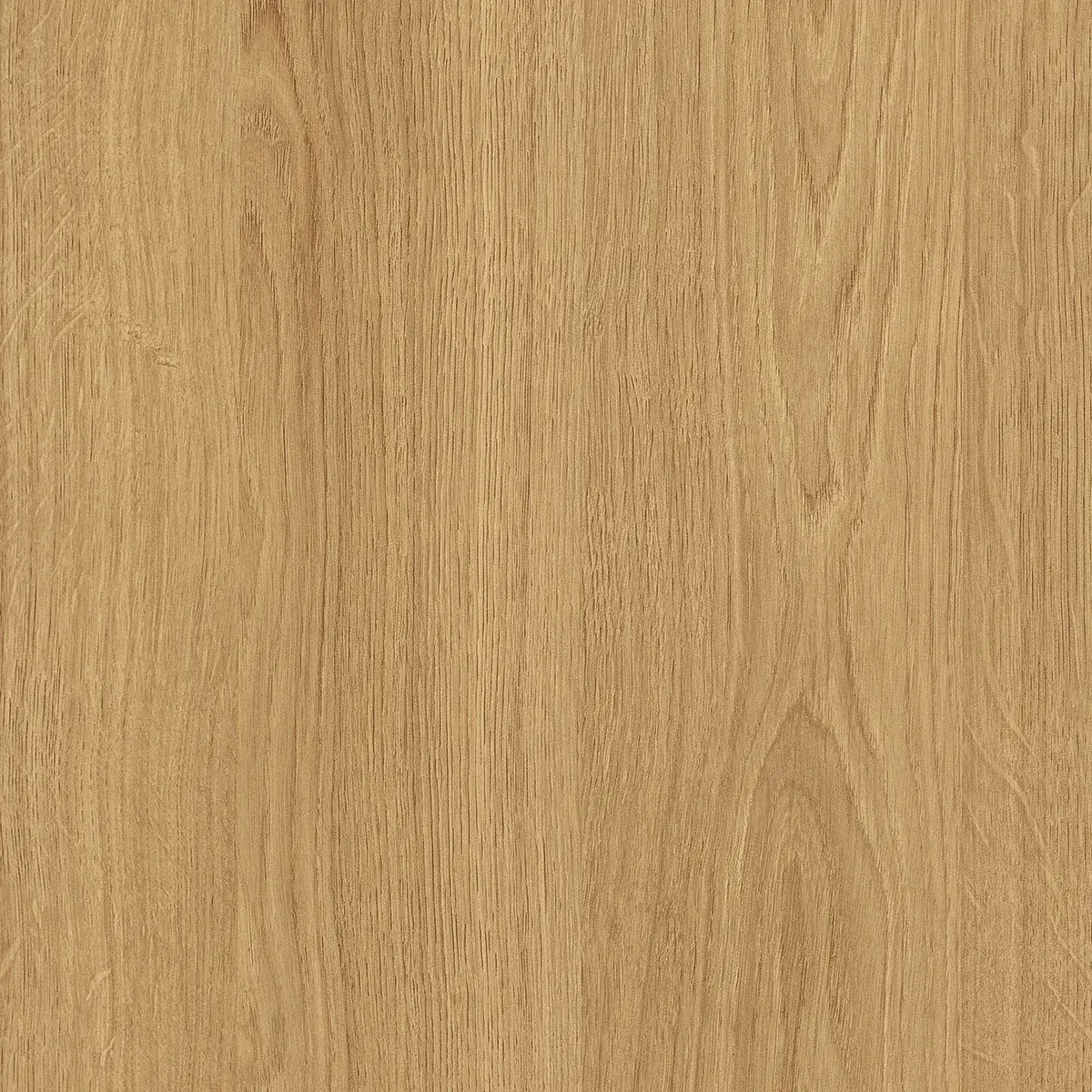 Comptoir magasin bois mélaminé Easy Chêne Corbridge 62,5 x 51 x 88 cm - Comptoirs Easy-3