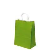 Sac kraft vert amande à poignées torsadées 19+8x24cm 90g/m² (x50) - Sacs kraft couleur poignées torsadées