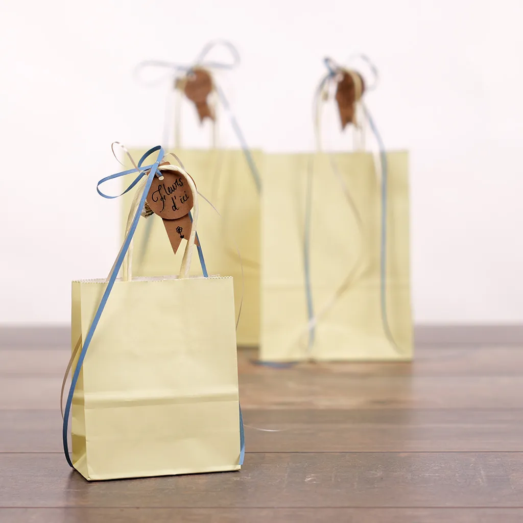Sac kraft jaune pastel à poignées torsadées 12+6x15cm 120g/m² (x50) - Sacs kraft couleur poignées torsadées-4