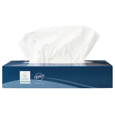 Boîte de 100 mouchoirs blancs extra doux 2 plis - 100% cellulose, Écolabel, traitement anti-humidité, double ouverture - Papier toilette et mouchoirs