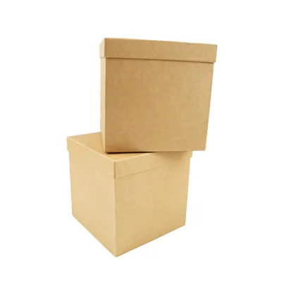 Boîte carrée kraft à couvercle amovible - 20 x 20 x 20 cm - Boites cloches-2