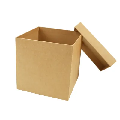 Boîte carrée kraft à couvercle amovible - 20 x 20 x 20 cm - Boites cloches-3