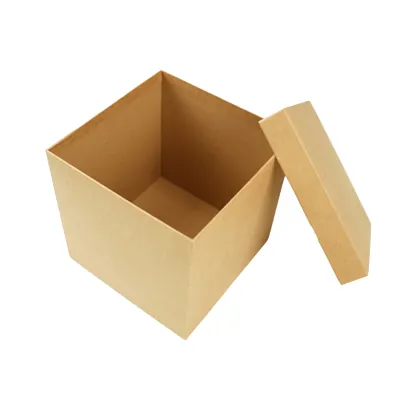 Boîte carrée kraft à couvercle amovible - 20 x 20 x 20 cm - Boites cloches-4