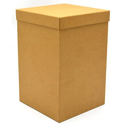 Boîte rectangulaire à couvercle amovible - 20 x 20 x H 30 cm - Boites cloches