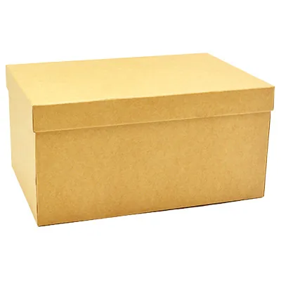 Boîte cadeau carton avec couvercle 30 x 20 x 15 cm - Boîte cloche - Lot de 2 - Boites cloches