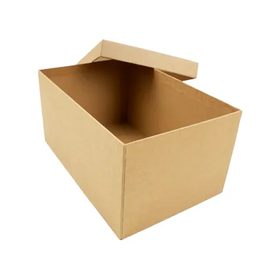 Boîte cadeau carton avec couvercle 30 x 20 x 15 cm - Boîte cloche - Lot de 2 - Boites cloches-3