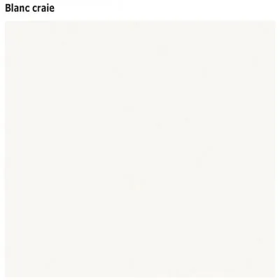 Caisson bois blanc avec tablette réglable 59,7 x 60 x 65 cm ép. 19 mm - Comptoirs Square 25-2