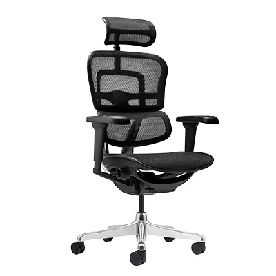 Siège de bureau ergonomique synchrone Ergohuman Ultra translation 12 zones - Noir - Sièges de bureaux