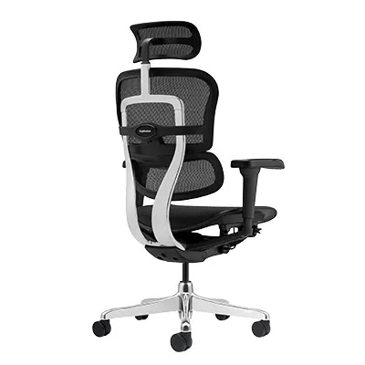 Siège de bureau ergonomique synchrone Ergohuman Ultra translation 12 zones - Noir - Sièges de bureaux, Fauteuils de bureaux-3
