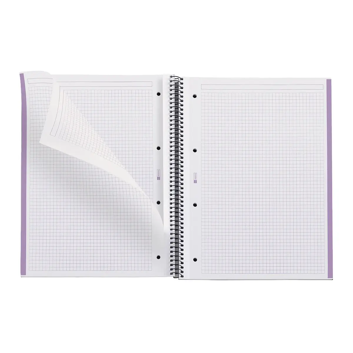 Bloc note A4 Eco Emotions Lavande - Quadrillé 5x5 - 80 feuilles - Cahiers et blocs notes-2