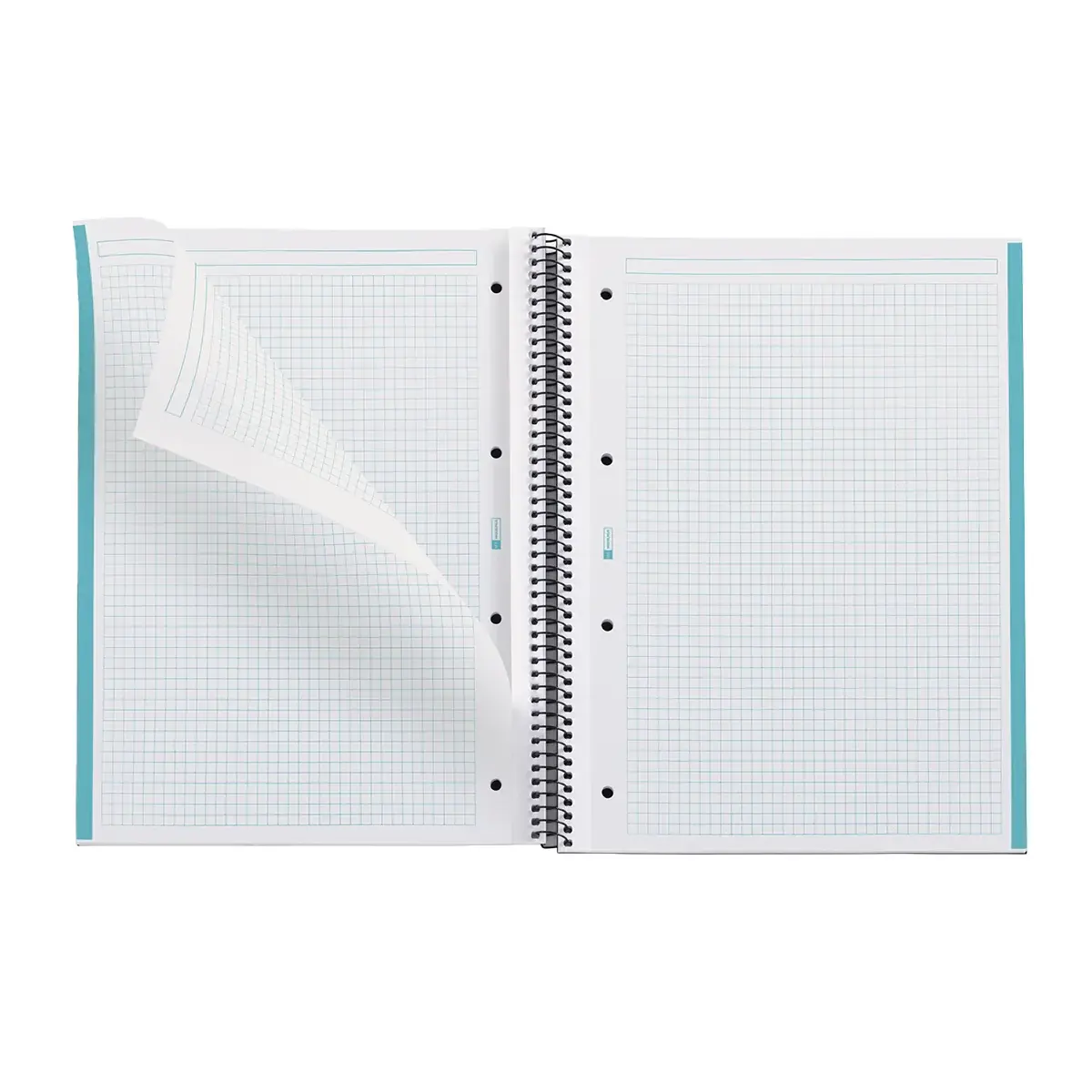Bloc note Notebook A4 Eco Emotion 80F Quadrillé 5x5 - Bleu - Cahiers et blocs notes-2