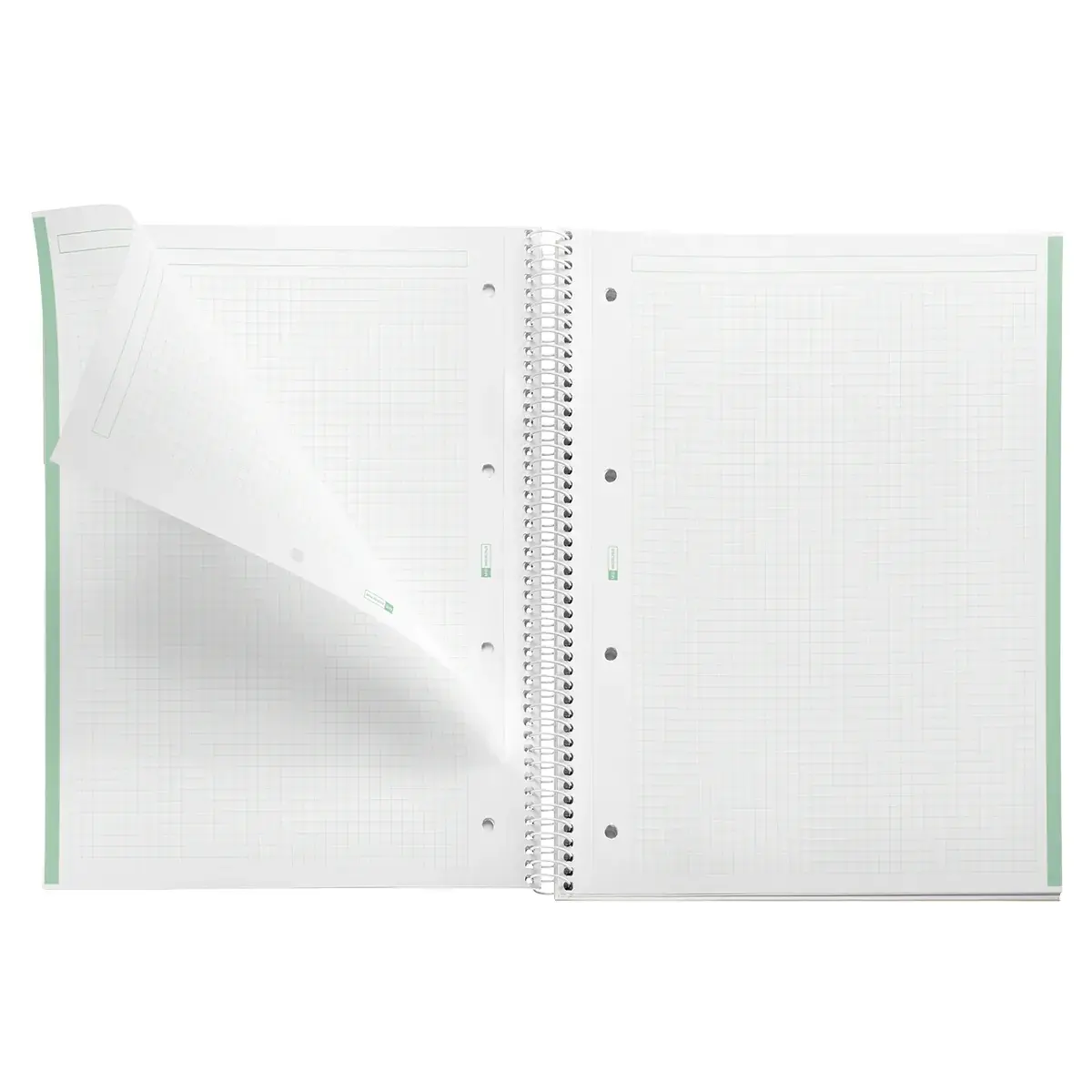 Bloc note Notebook A4 Emotion 80F Quadrillé 5x5 90g - Menthe - Cahiers et blocs notes-2