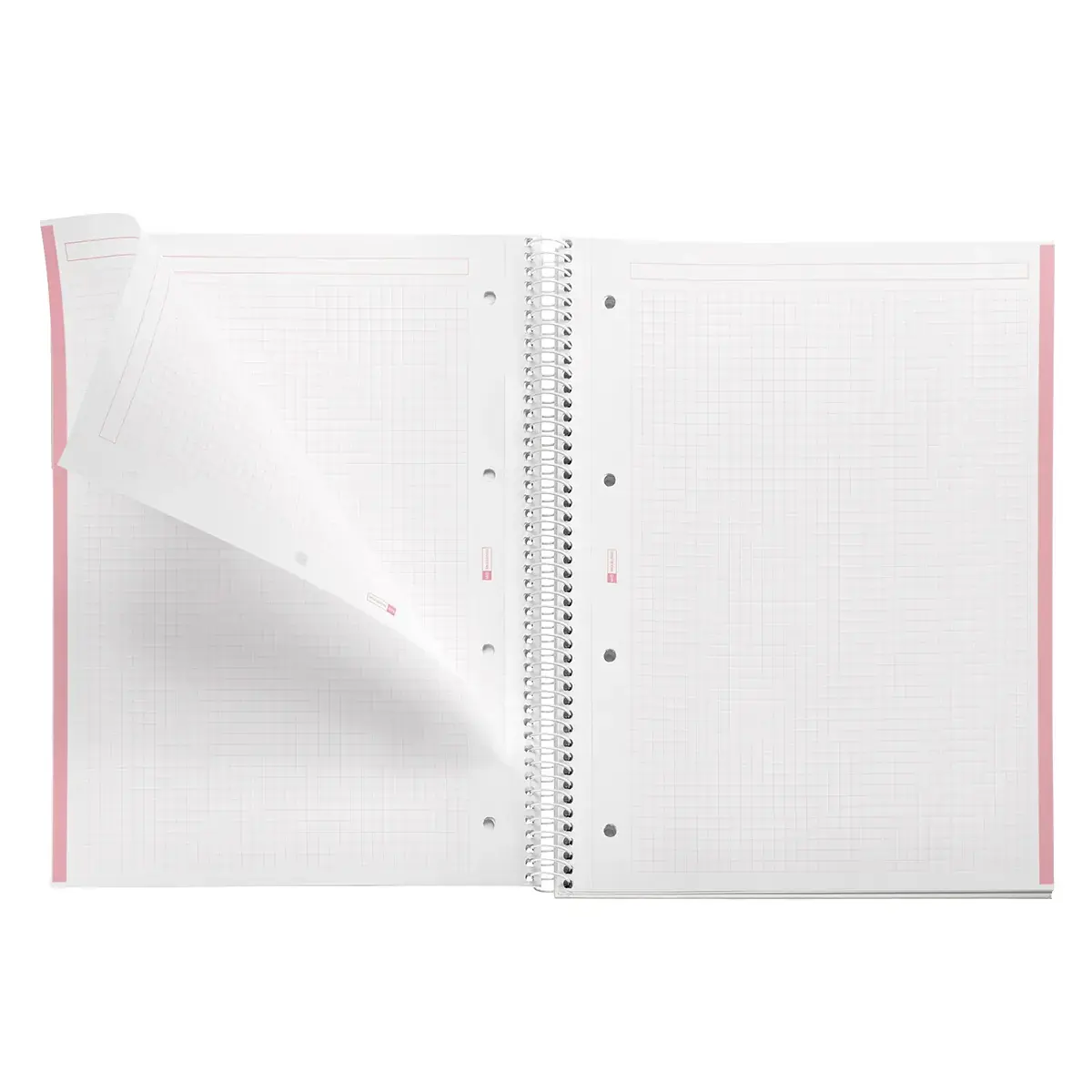 Bloc note Notebook A4 Emotion 80F Quadrillé 5x5 Couverture Polypro - Corail - Cahiers et blocs notes-2
