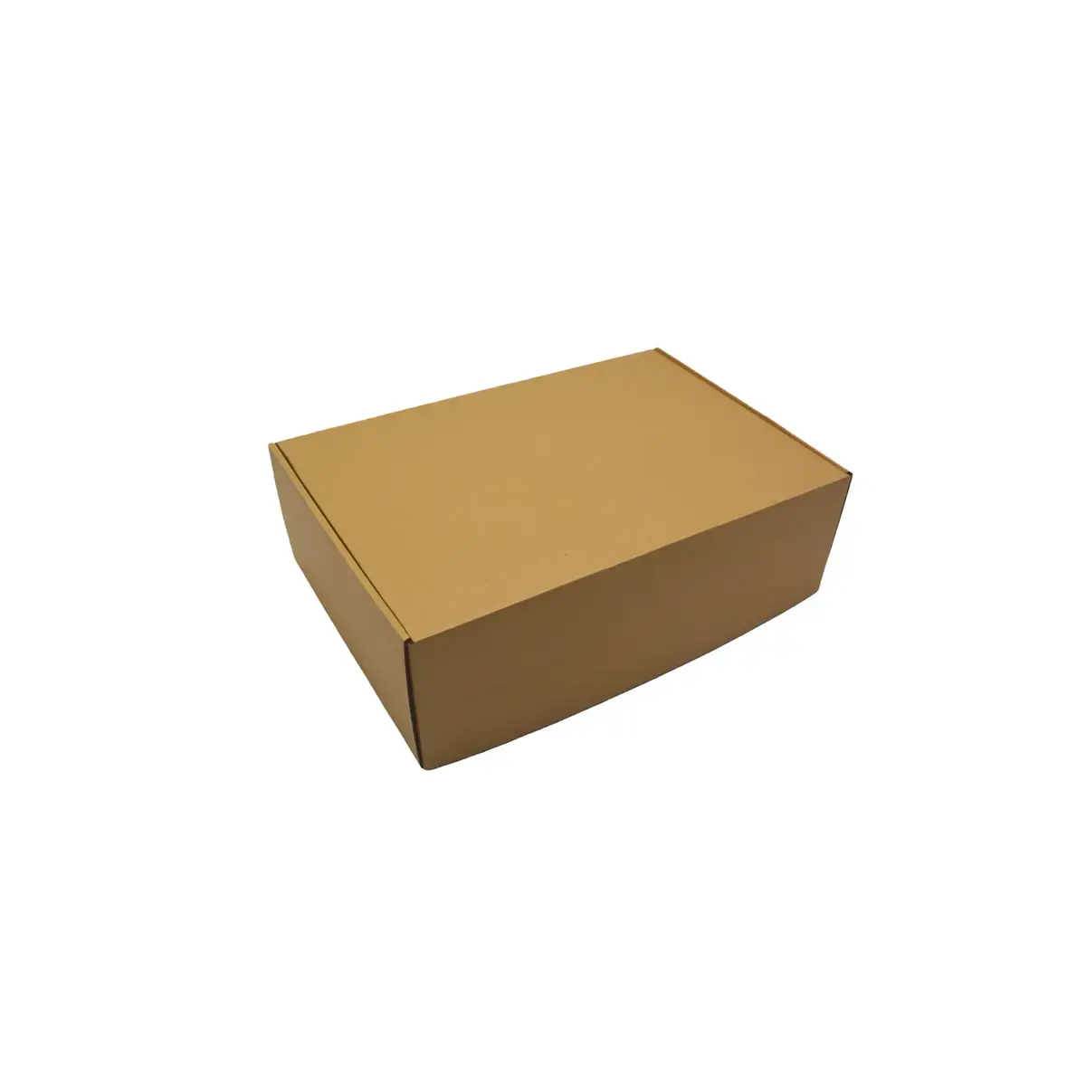 Carton d'expédition brun 21 x 17 x 9 cm - Boîte carton à oreilles - Lot de 20 - Cartons d'expédition, Boîtes carton-2