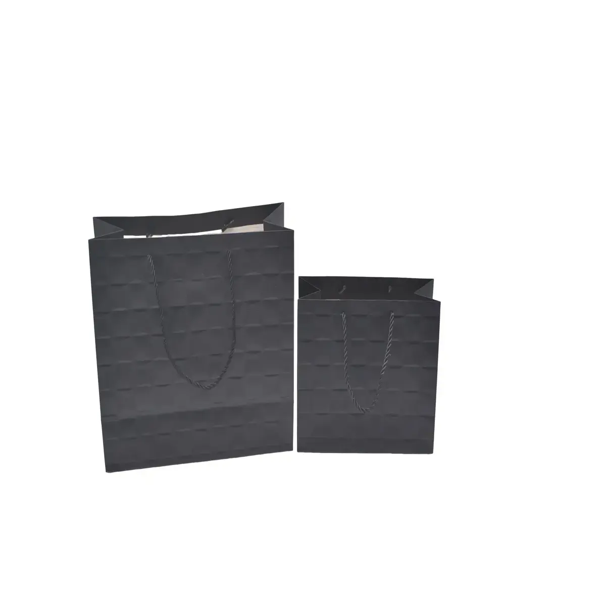 Sacs pelliculés noirs embossés tressés poignées cordelette 31+12x26 cm 210g/m² – Paquet de 20 - Sacs pelliculés à motifs-3