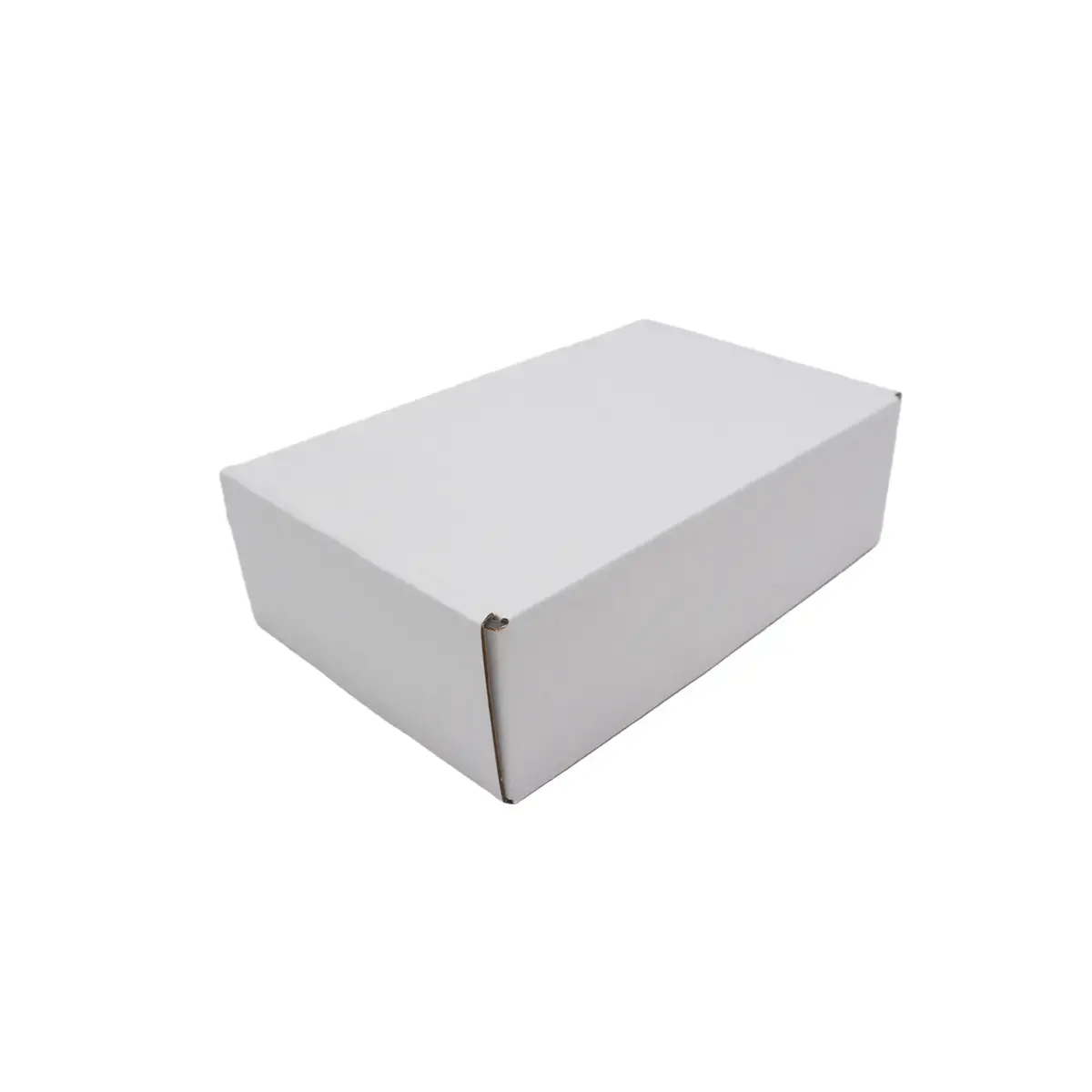 Carton d’expédition blanc 23 x 16 x 5 cm simple cannelure 365 g/m² – Boîte postale kraft blanc– Lot de 20 - Cartons d'expédition, Boîtes carton-2