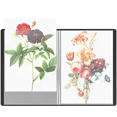 Protège-documents 50 pochettes souple - Porte-vues A4 100 vues - Noir - Protèges-documents, Porte-vues-4