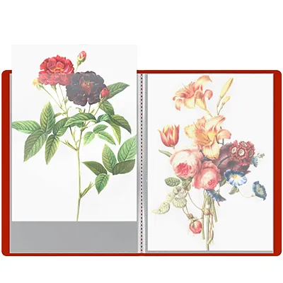 Protège-documents 50 pochettes souple - Porte-vues A4 100 vues - Rouge - Protèges-documents, Porte-vues-2