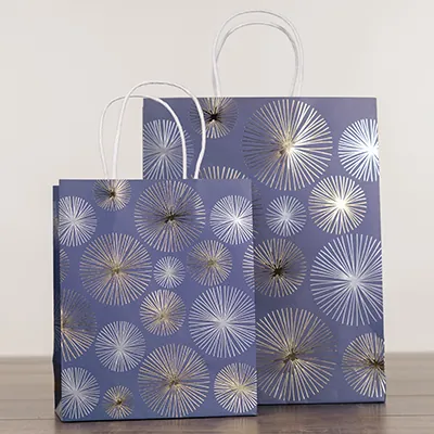 Sac cadeau kraft poignées torsadées bleu marine Feu d'artifice 24 + 10 x 31 cm - Paquet de 20 - Sacs kraft luxe-2