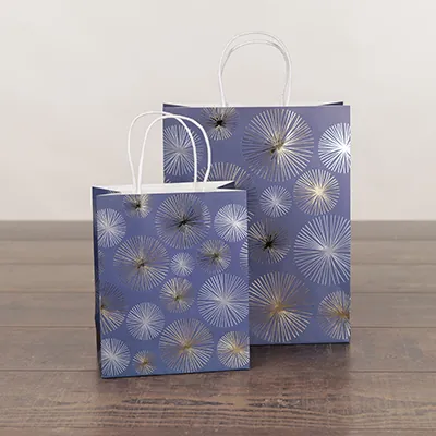 Sac cadeau kraft poignées torsadées bleu marine Feu d'artifice 24 + 10 x 31 cm - Paquet de 20 - Sacs kraft luxe-3