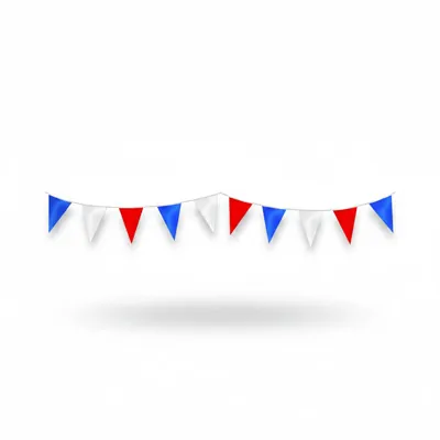 Guirlande tricolore 20 fanions 10 m - Guirlande bleu blanc rouge - Guirlande fête de village - Ballons et Accessoires de fête